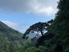 -泰山风景名胜区