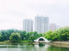 -龙沙公园