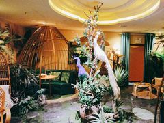 -泰谷玲抓龙筋SPA·泰式按摩(五一广场店)