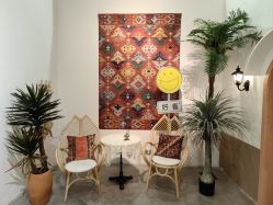 -好看加白色房子