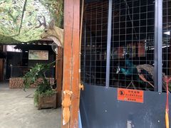 -凯德广场(金牛店)