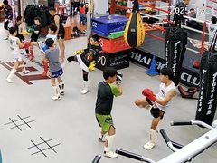 -TFC 纯泰拳馆MuayThai