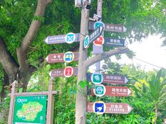 -青青世界