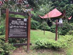 -庐山风景区花径公园