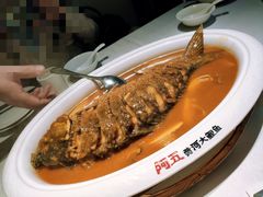 红烧黄河大鲤鱼-阿五黄河大鲤鱼(纬三路店)