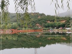 -五龙城郊森林公园
