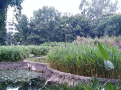 -成都市活水公园