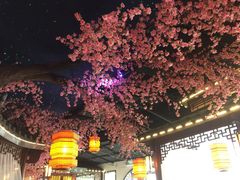 -荷塘秋月·本帮江浙菜(国权路店)