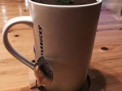 -喵园·猫主题咖啡厅·撸猫·猫咖(国贸店)