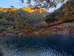 -大奇山国家森林公园