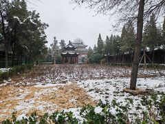 -洛阳白马寺
