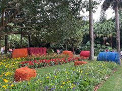 -深圳仙湖植物园