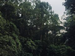 -火炉山森林公园