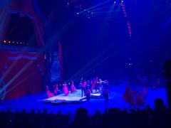 -珠海横琴长隆《卡卡虎奇遇记》