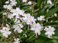 -南山风景名胜区