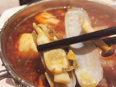 蛏子-东方滨江大酒店·滨江厅