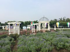 -百万葵园