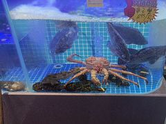 -77号渔船·蒸海鲜青岛菜(积米崖店)