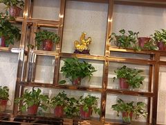 -国人川菜(李家村建东街店)
