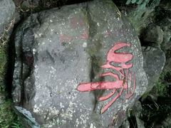 android_upload_pic-藏龙百瀑风景区