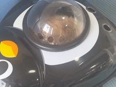 -守诺宠物医院·眼科· 特色牙科·异宠专科(虹口店)