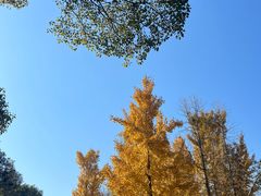 -宝界山林公园