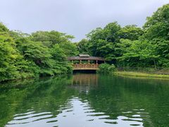 -济州森林小火车生态公园