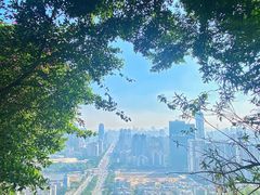 -板樟山森林公园