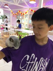 -Moni星球萌宠·小马宝莉·灵蛇·高端高阶全萌宠互动体验俱乐部(红豆国际广场店)