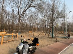 -绿堤公园