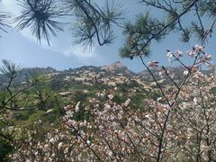 -崂山巨峰游览区