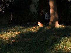 -西园寺