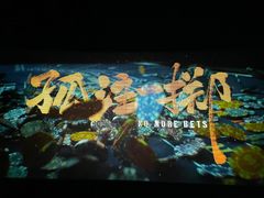 -深影国际影城(学院南路店CGS中国巨幕店)