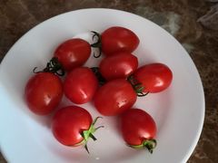 -兴芮温泉度假区