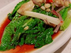 白灼罗马生菜-千日贺茶餐厅(高新万达店)