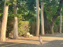 -华农酸奶文化馆