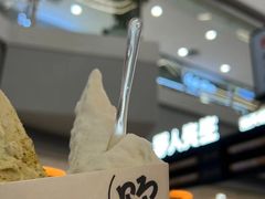 -野人先生Gelato(上海长宁龙之梦店)