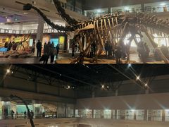 -自贡恐龙博物馆