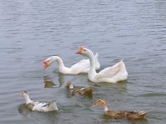 -东华大学(松江校区)