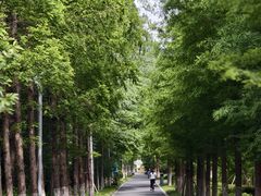 -昆山城市生态森林公园