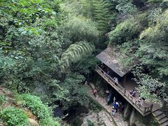 -莫干山风景区