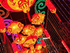 -武汉园博园(武汉自然博物馆)