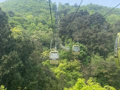 -黔灵山公园