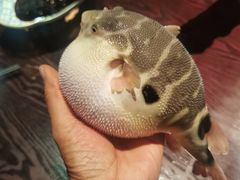 -永安鱼庄·镇江菜(东吴路店)