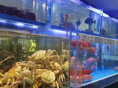 -南海渔村(珠江新城店)