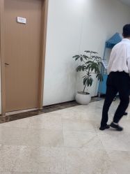 -上海伊莱美医疗美容医院