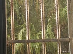 -广西师范大学(育才校区)