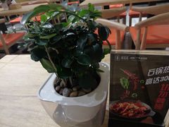 -极有家小鱼小鸡石锅煲(佳兆业店)