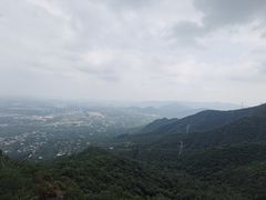 -阳台山自然风景区