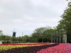 -上海鲜花港